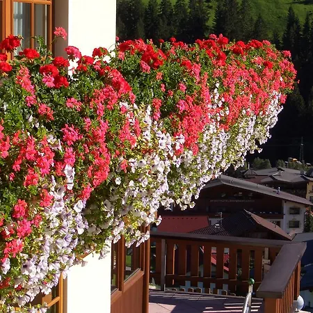 Appartamento Haus Panorama *