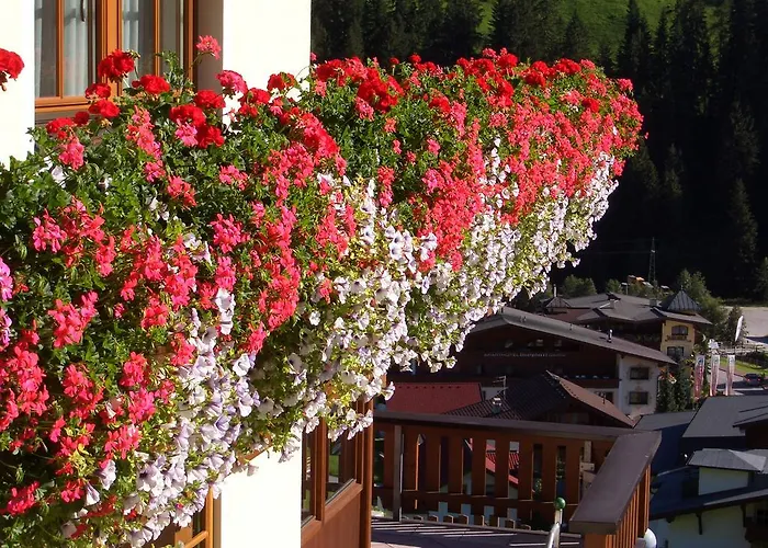 Apartment Haus Panorama *